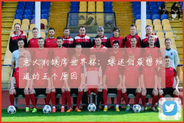 意大利缺席世界杯：球迷们最想知道的五个原因