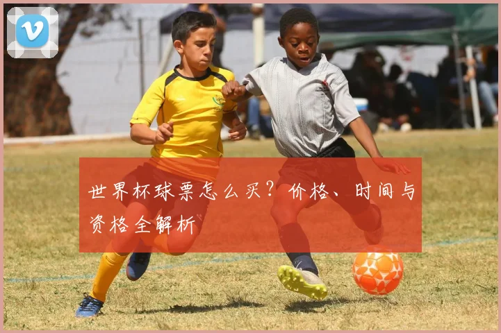 世界杯球票怎么买？价格、时间与资格全解析