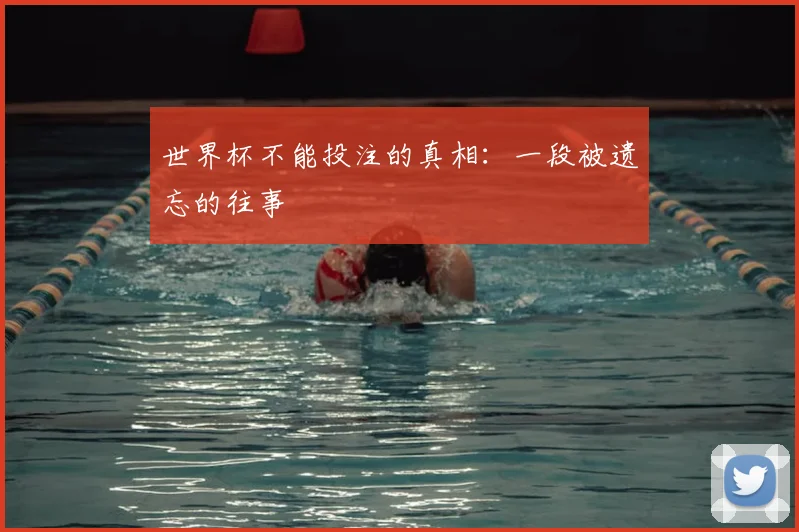世界杯不能投注的真相：一段被遗忘的往事