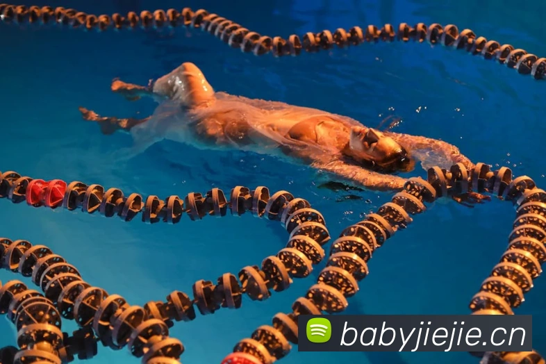 多媒体互动体验